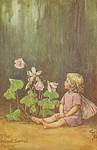 woodsorrel-150.jpg